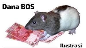 SMP Negeri 1 Cadasari Kabupaten PandeglangThn 2024-2025 Menerima Dana BOS Rp.1,1 M lebih, Diduga Dikorupsi Kepsek